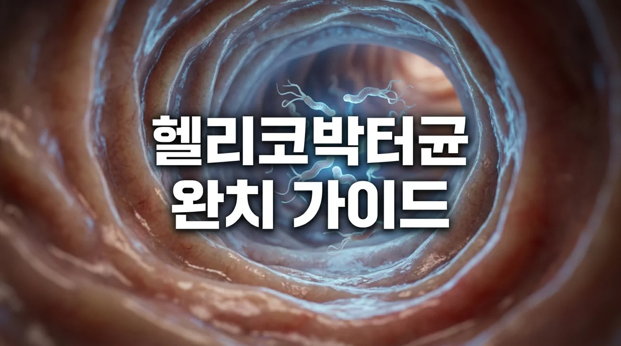 헬리코박터균 증상부터 제균 치료, 관리법까지 완벽 가이드