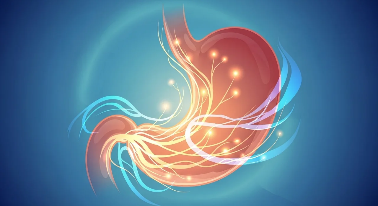 체했을때증상, 왜 나타나는 걸까요?