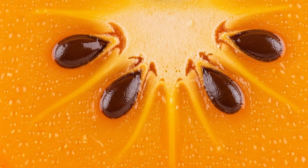 가을의 전령사, 감의 놀라운 영양학적 가치