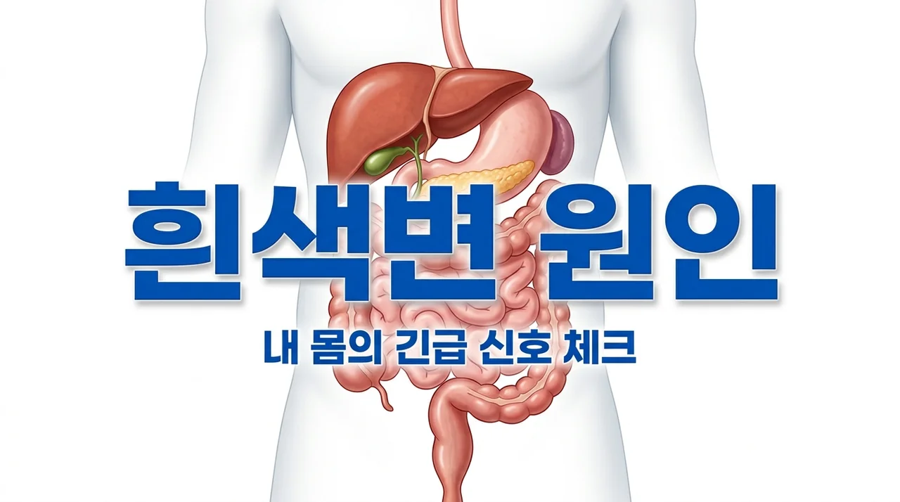 흰색변 원인 5가지와 꼭 확인해야 할 건강 위험 신호 총정리