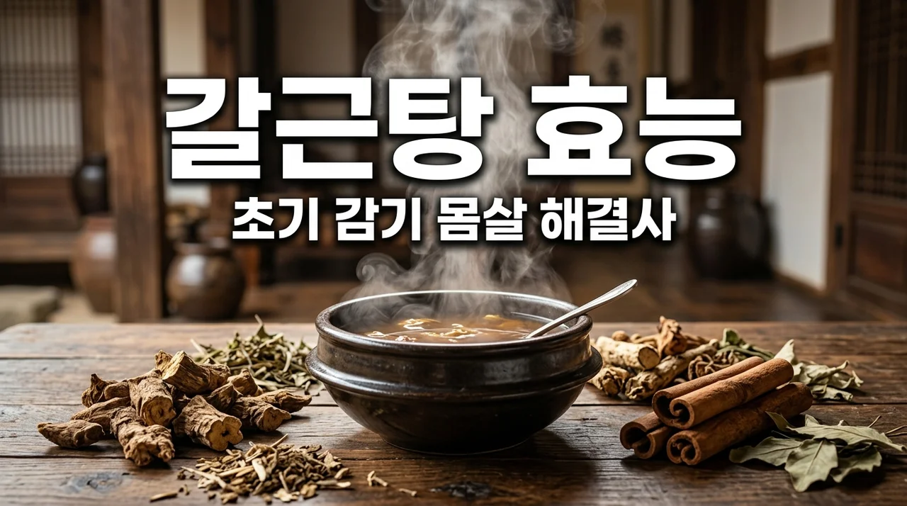 갈근탕 효능 효과 및 복용법, 초기 감기 몸살 잡는 골든타임 정리