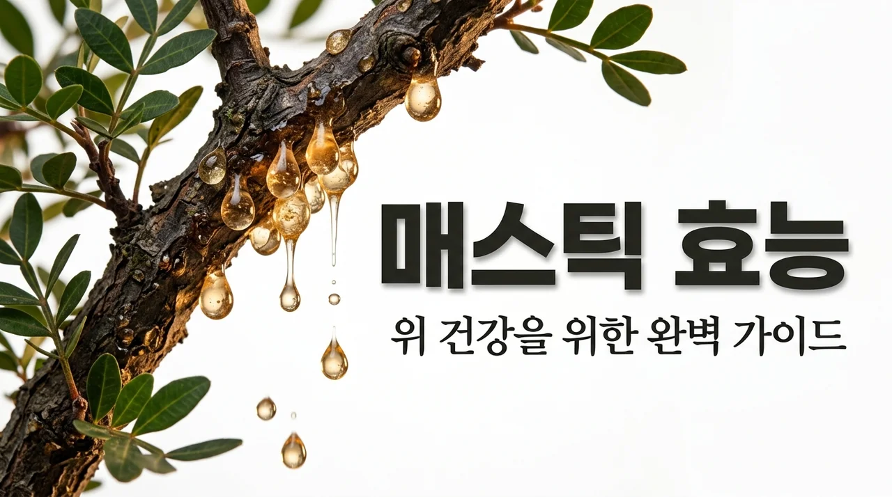 매스틱 효능 부작용, 위 건강을 위한 신의 눈물 완벽 가이드