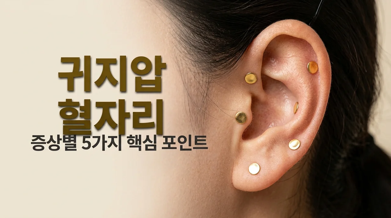 귀지압 혈자리 5곳과 효과, 집에서 하는 이혈테라피 완벽 가이드