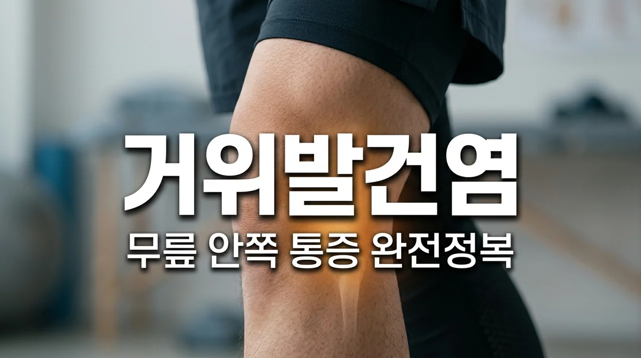거위발건염 무릎 안쪽 통증 원인부터 치료 스트레칭까지 완벽 가이드