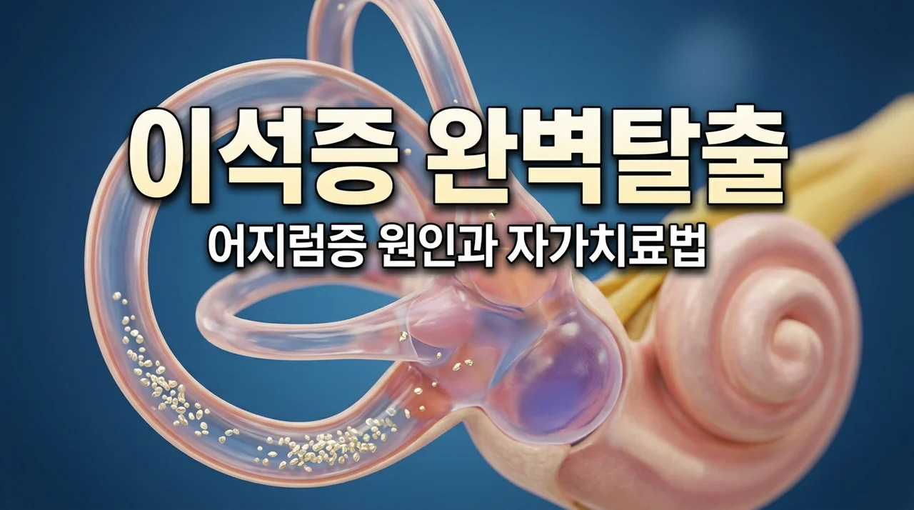 이석증치료법, 자가치료 전 꼭 알아야 할 3가지와 예방법