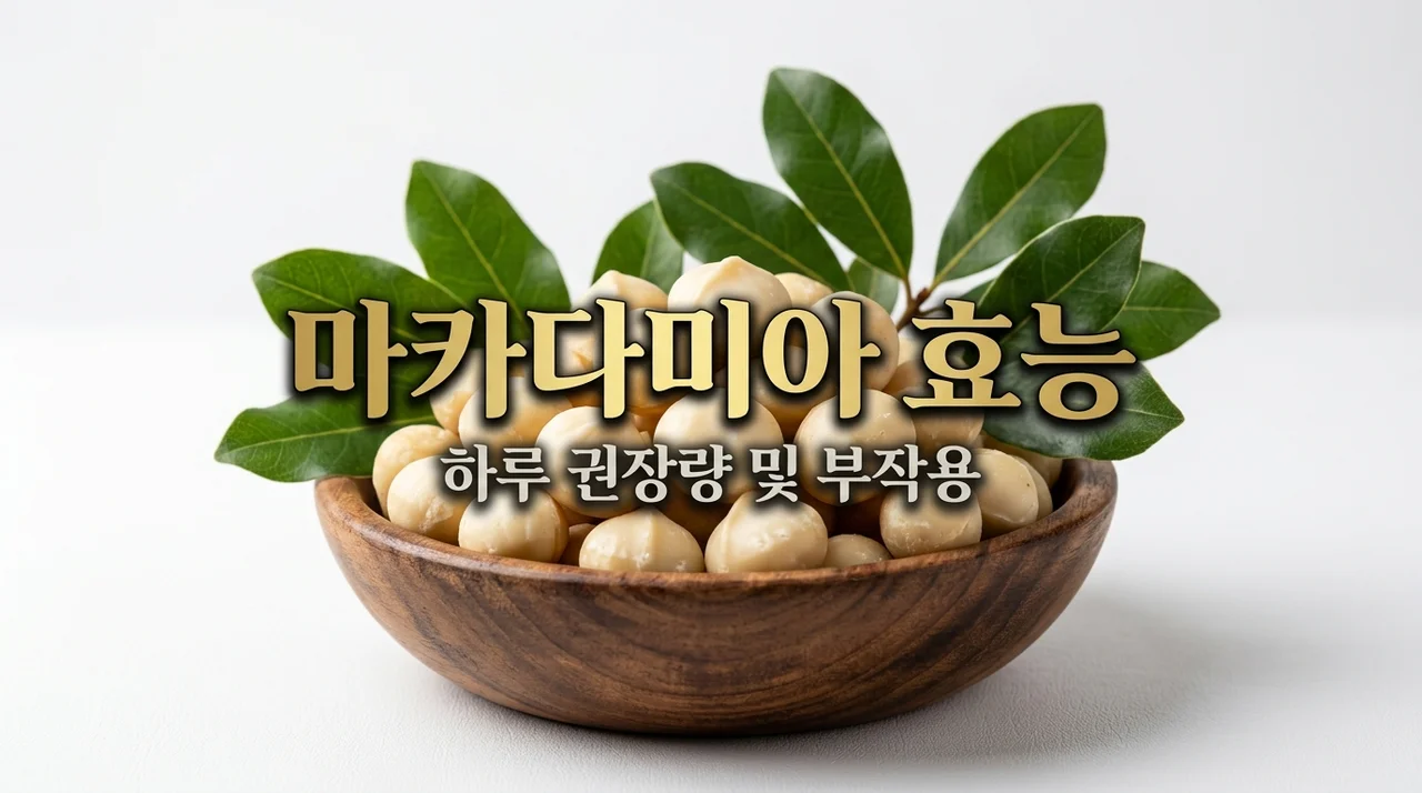 마카다미아 효능 7가지와 칼로리 및 부작용 없는 하루 섭취량 총정리