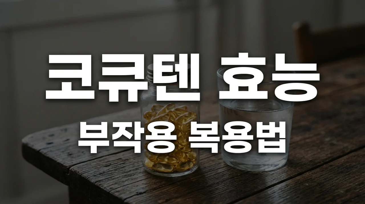 코큐텐 효능 5가지와 부작용 복용법 완벽 정리 (코엔자임Q10)