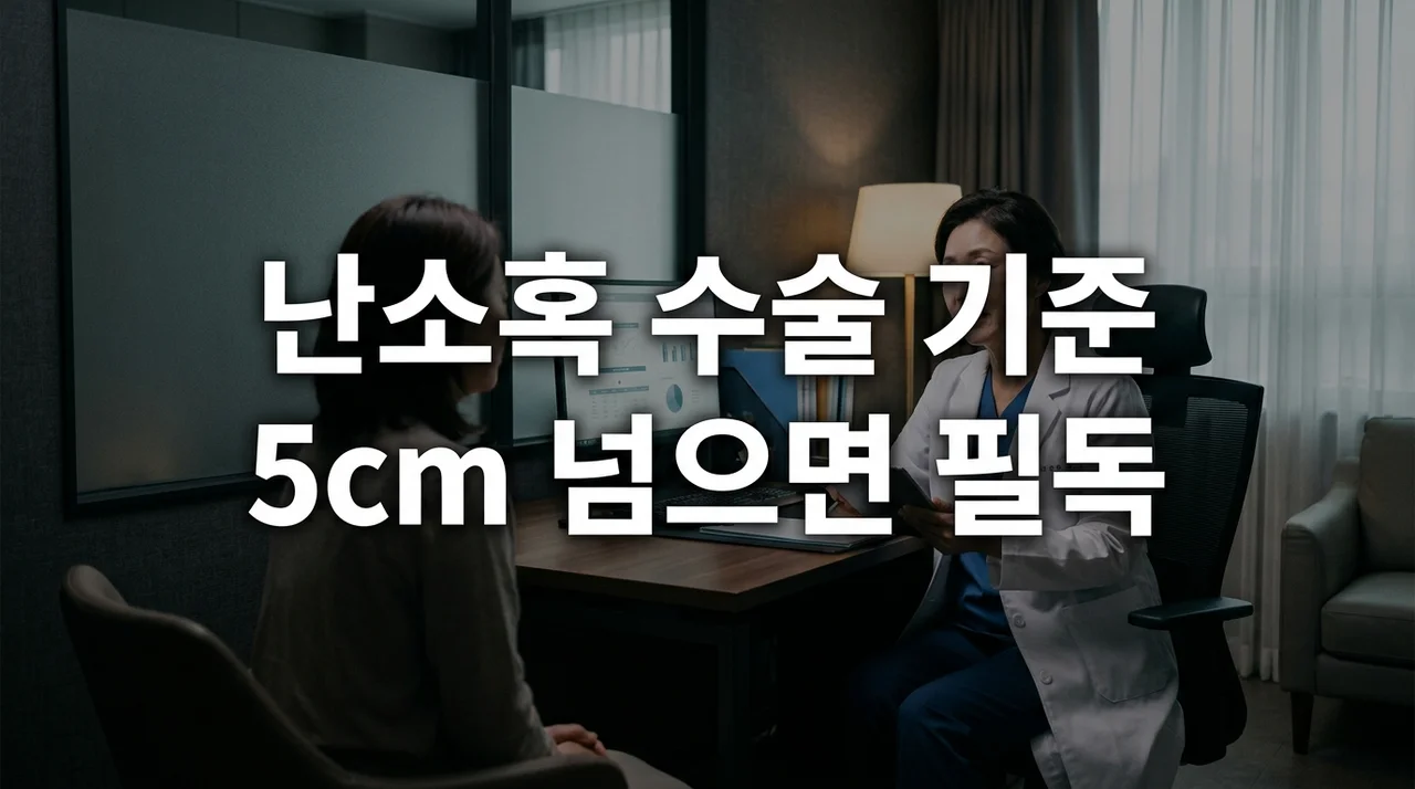 난소혹 원인 증상부터 수술 기준까지, 5cm 넘으면 꼭 확인하세요