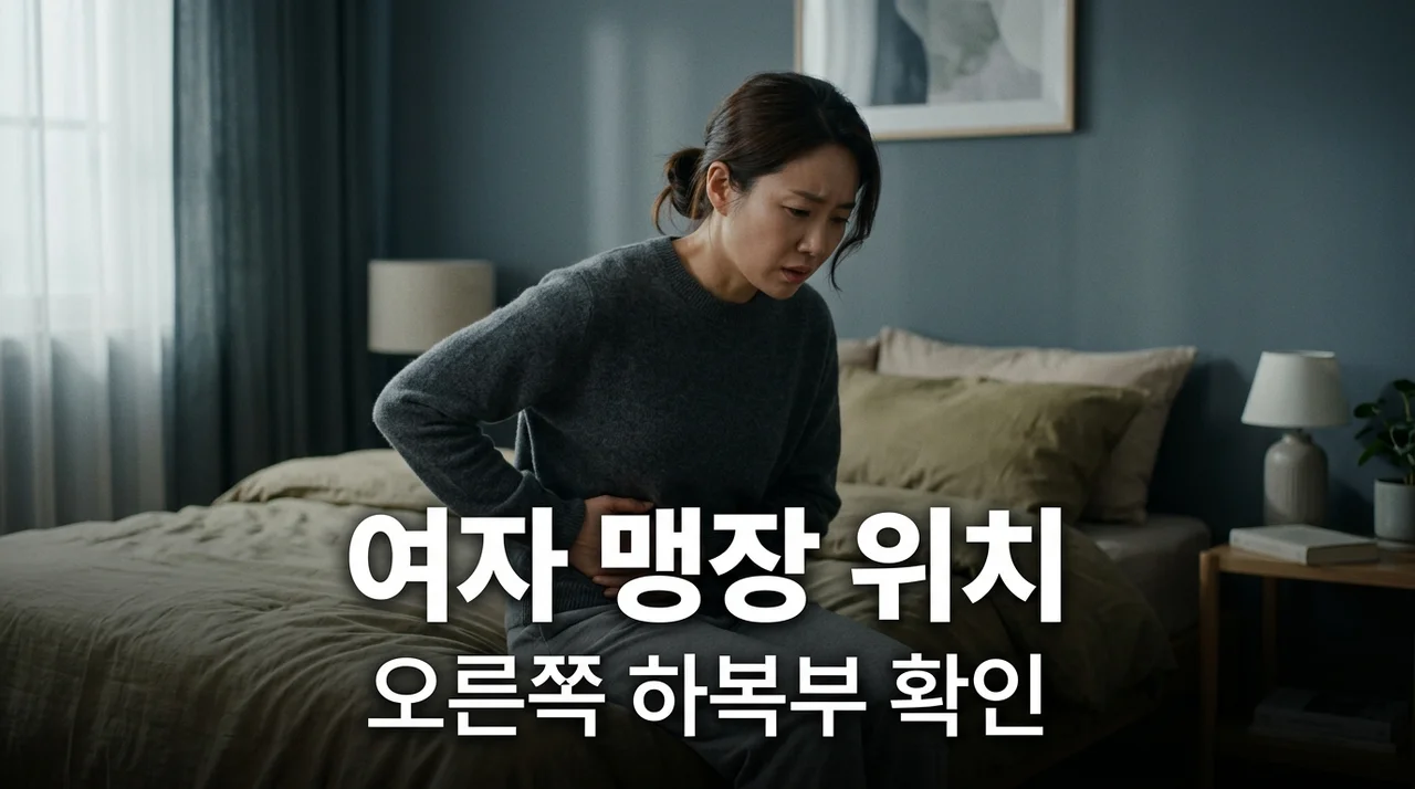여자 맹장 위치 오른쪽? 왼쪽? 맹장염 초기증상 및 자가진단 총정리