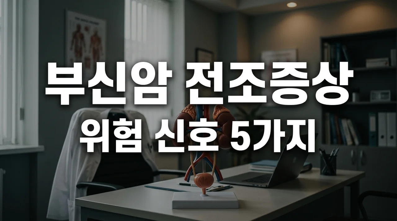 부신암 증상과 전조증상 놓치면 안 되는 핵심 위험 신호 5가지