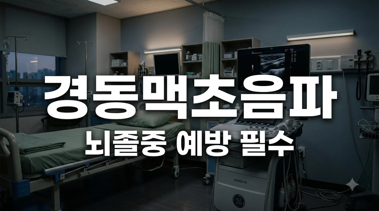 경동맥초음파 비용 및 결과 해석, 뇌졸중 미리 막는 5분 검사