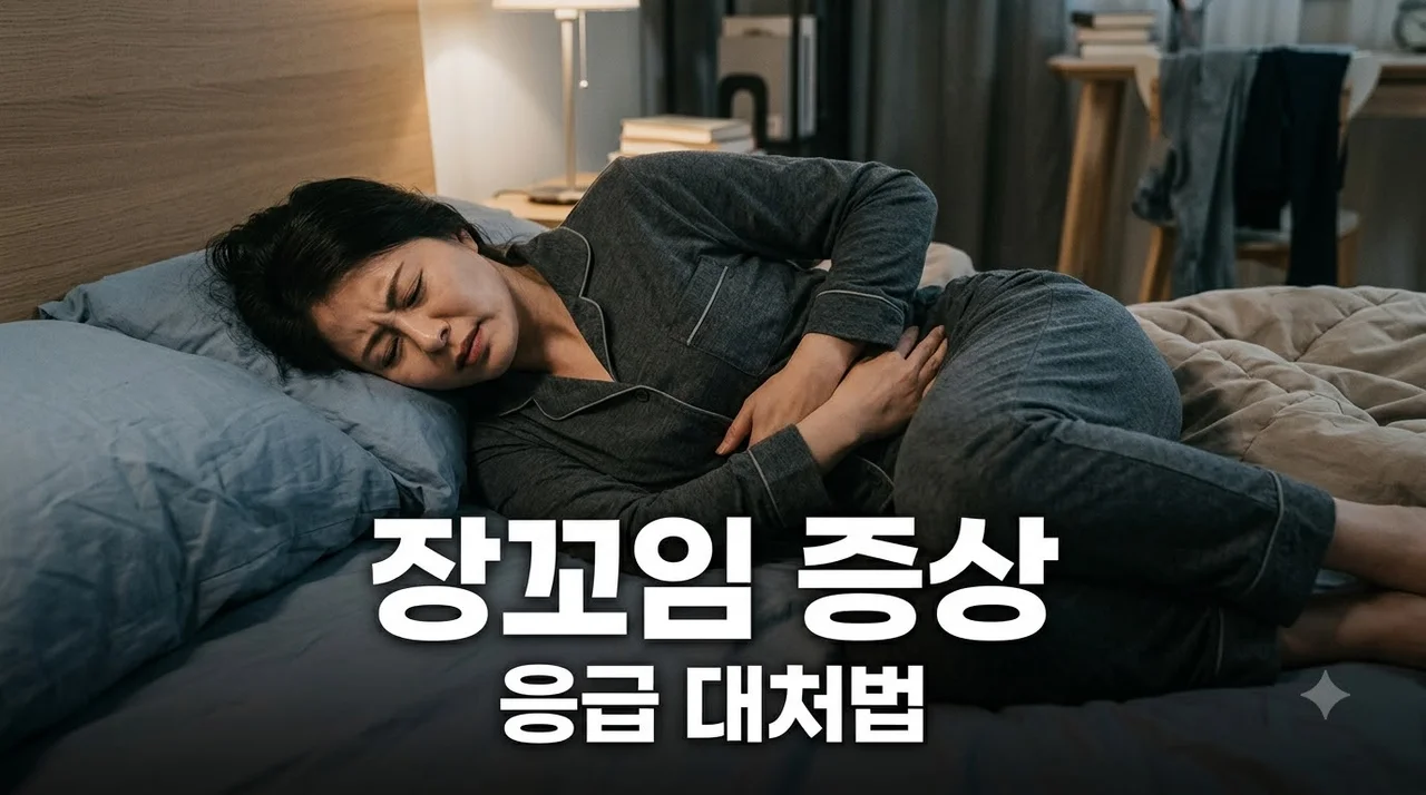 장꼬임 증상 원인과 응급 대처법! 배가 뒤틀릴 때 확인해야 할 신호