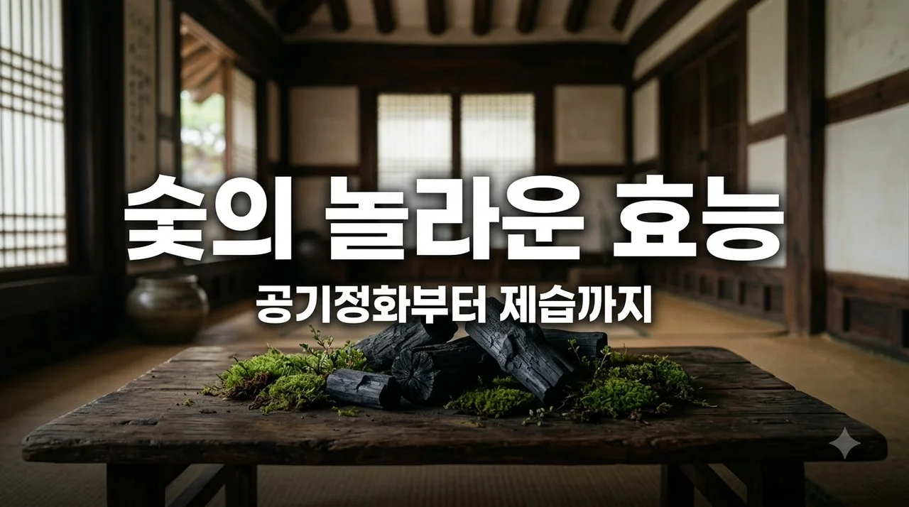 숯효능 5가지 총정리! 공기정화부터 천연 제습까지 올바른 활용법