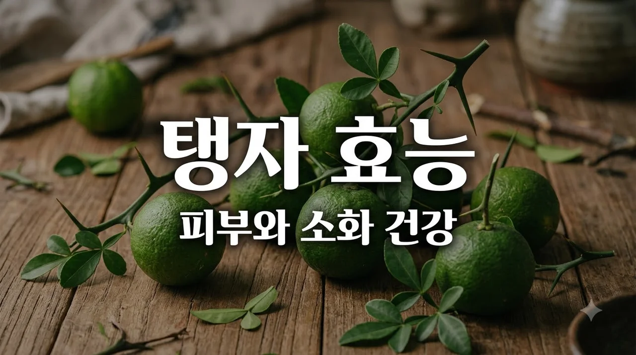 탱자효능 5가지와 부작용 완벽 정리! 아토피와 가려움증 극복법