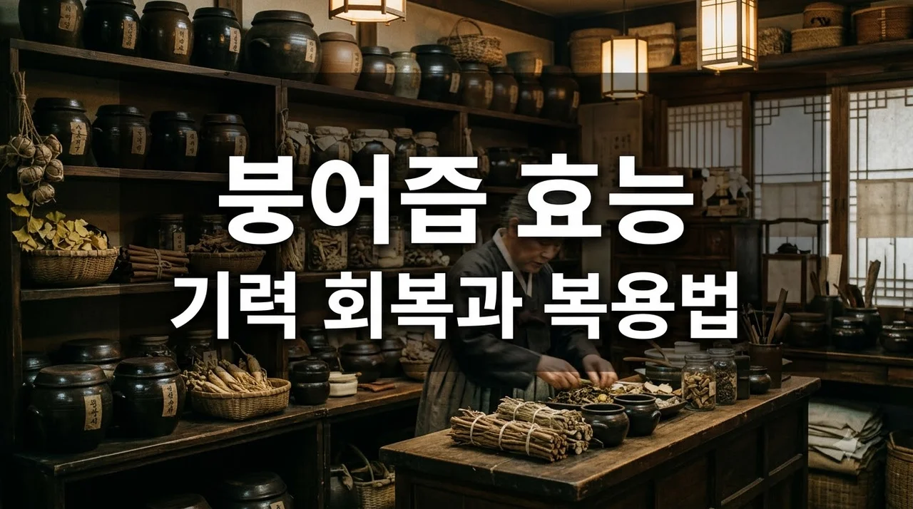 붕어즙효능 5가지와 부작용, 제대로 먹는법 총정리
