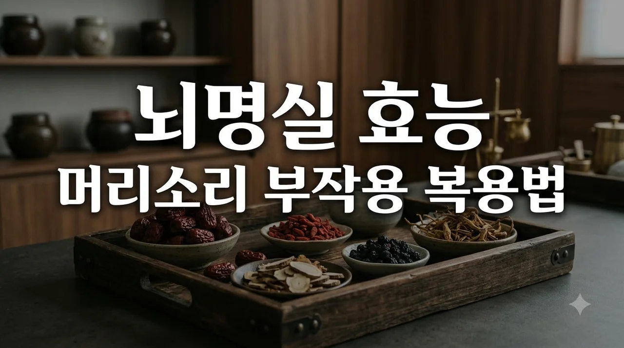 뇌명실 효능과 부작용, 머리 소리 잡는 올바른 복용법 총정리